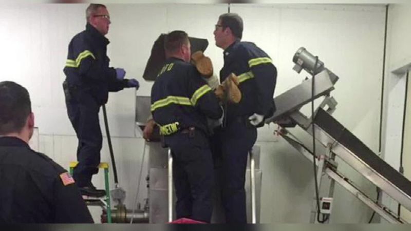 War Is Women’s Business: Ukraine Forces Women into the Meat Grinder